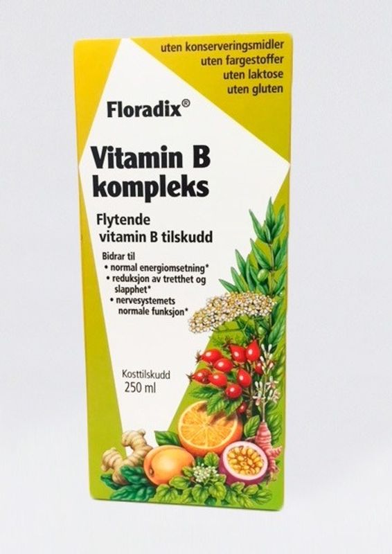 Floradix Vitamin B kompleks 250 ml